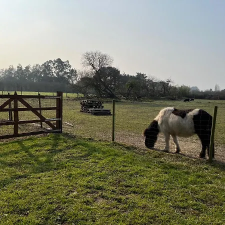 Insolite Glamping Commequiers