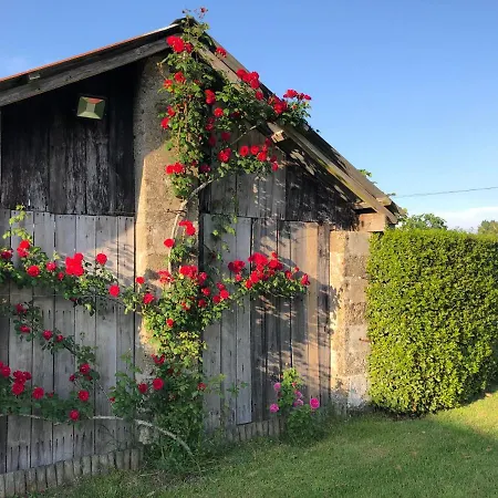 Insolite * Commequiers