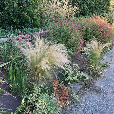 Insolite Commequiers