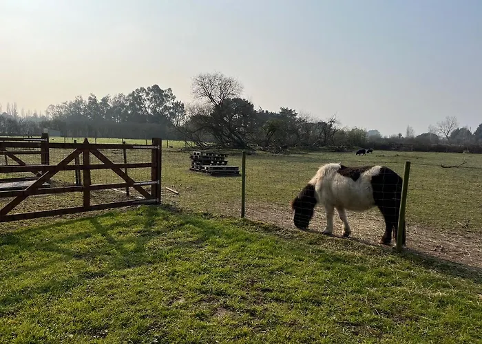 Insolite Luxuszelt Commequiers
