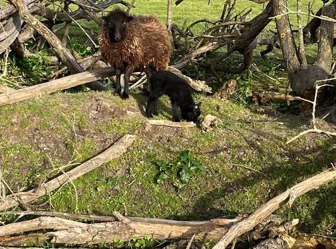 Luxuszelt Insolite Commequiers