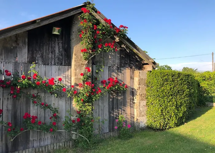 Insolite * Commequiers