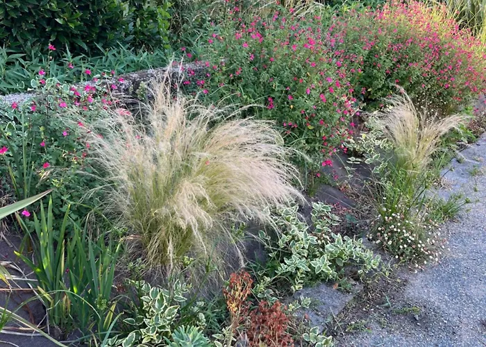 Insolite Commequiers